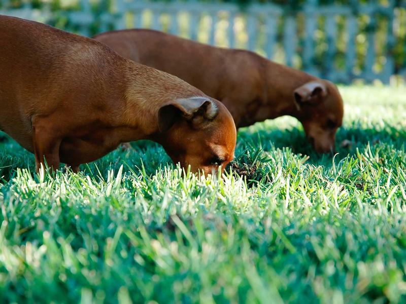 sudoku global ranking screenshot 4