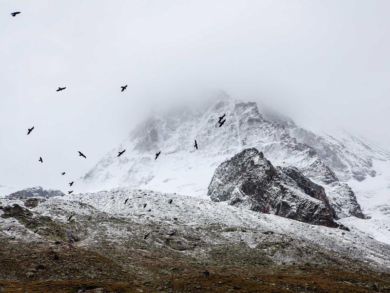 sudoku global ranking screenshot 1